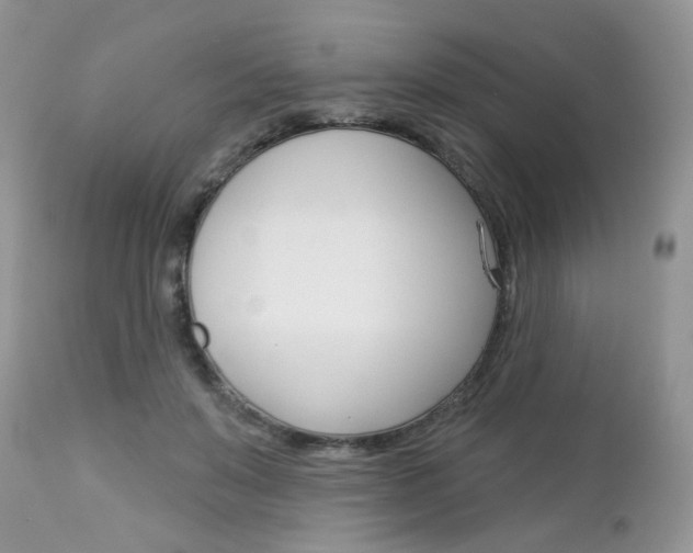 X0000113120503200908281045