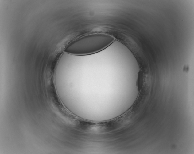 X0000113120504200908281045
