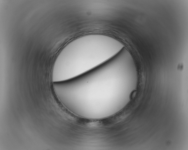 X0000113120505200908281045