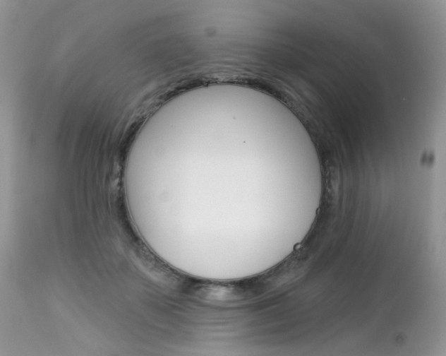 X0000113120507200908281045