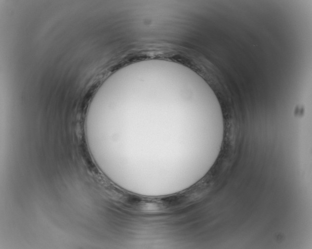 X0000113120510200908281045