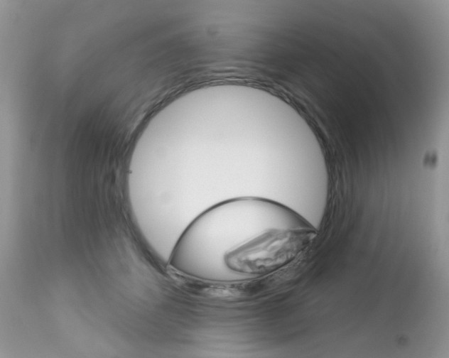 X0000113120512200908281045