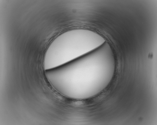 X0000113120513200908281045