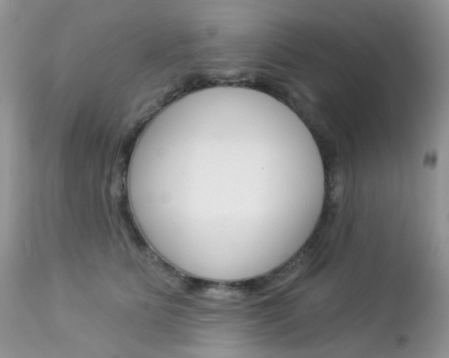 X0000113120515200908281045