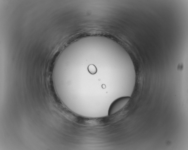 X0000113120516200908281045