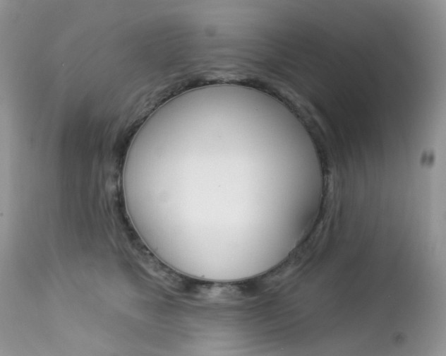 X0000113120517200908281045