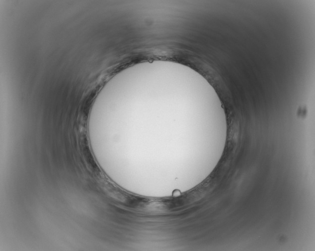 X0000113120518200908281045