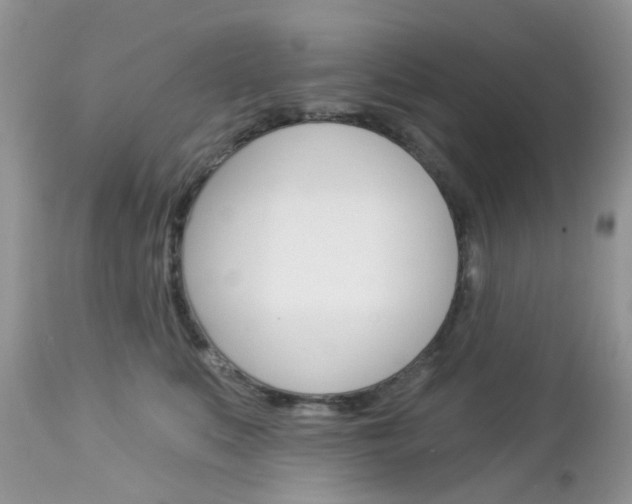X0000113120519200908281045