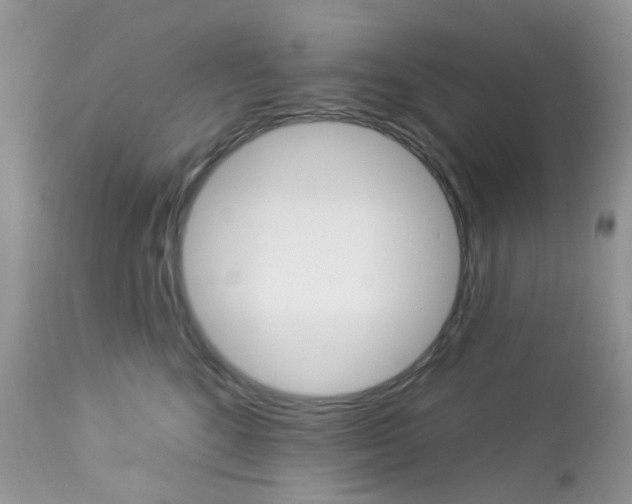 X0000113120520200908281045