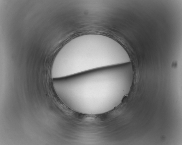 X0000113120521200908281045