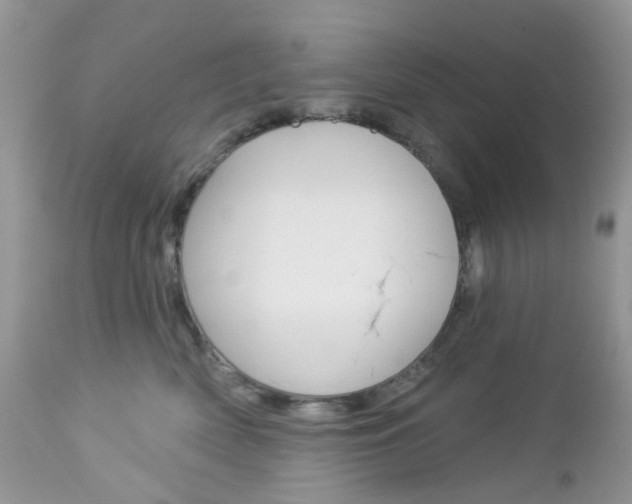 X0000113120522200908281045