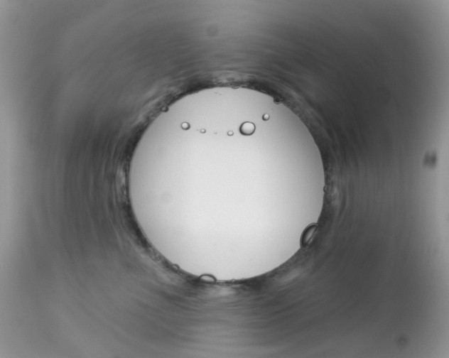 X0000113120523200908281045