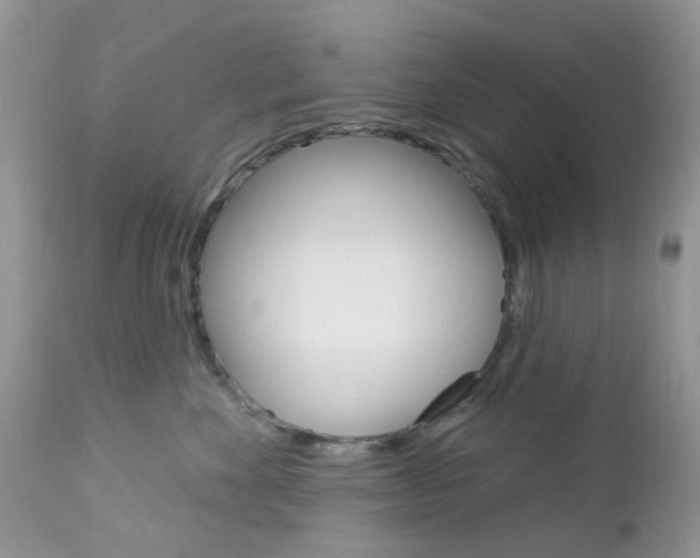 X0000113120524200908281045