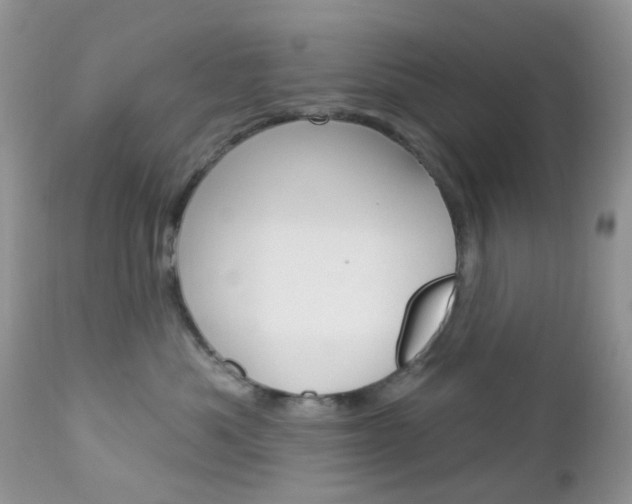 X0000113120525200908281045