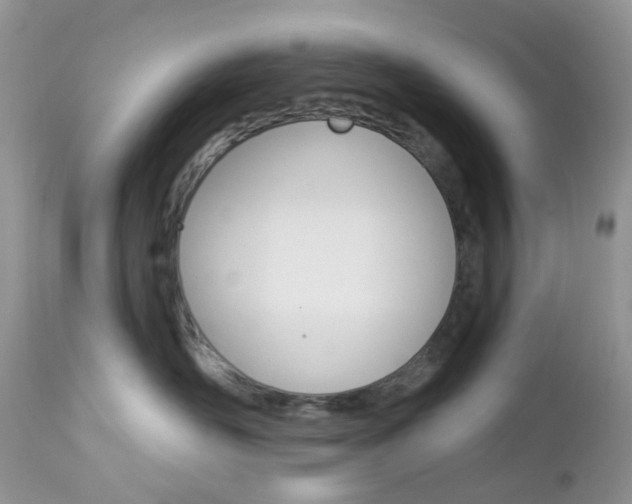 X0000113120526200908281045