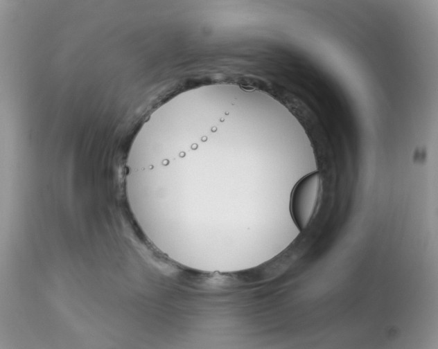 X0000113120527200908281045
