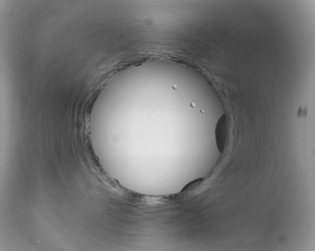 X0000113120528200908281045