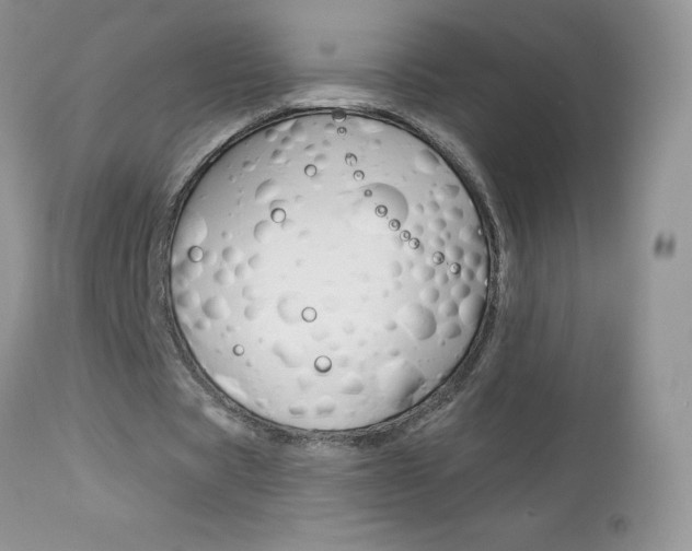 X0000113120529200908281044