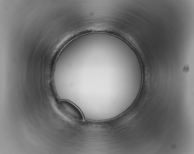 X0000113120530200908281044