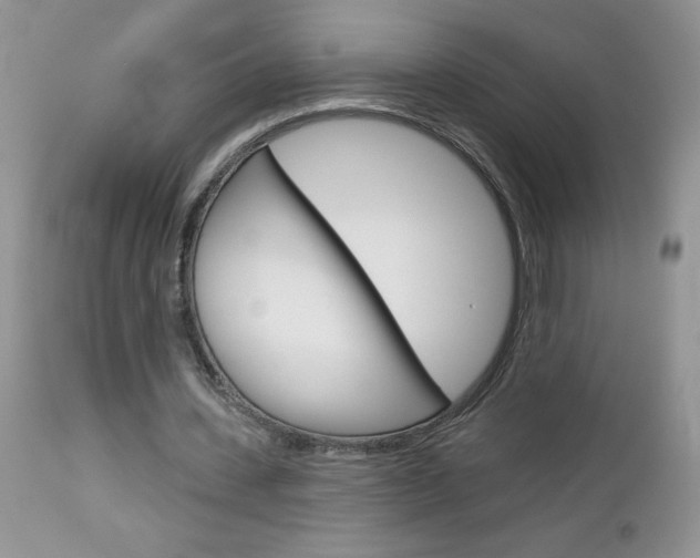 X0000113120531200908281044