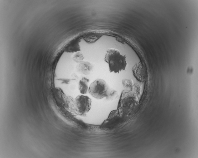 X0000113120533200908281044