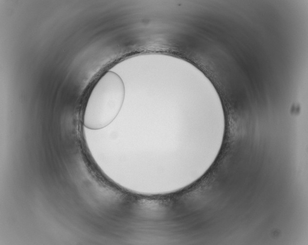 X0000113120534200908281044