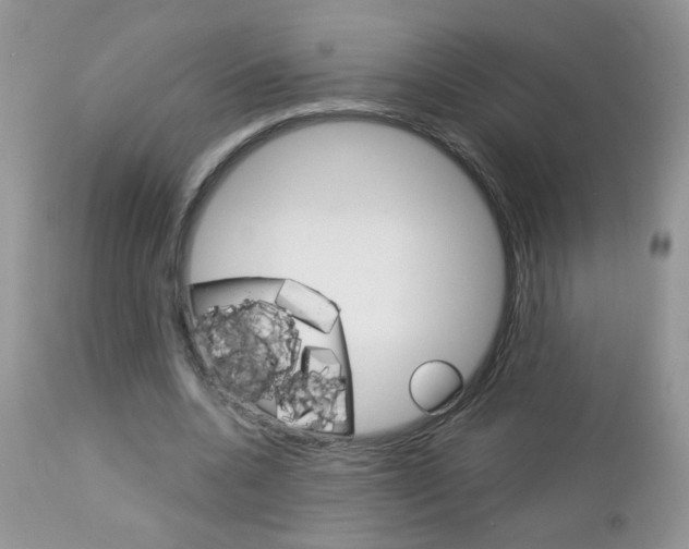 X0000113120536200908281044