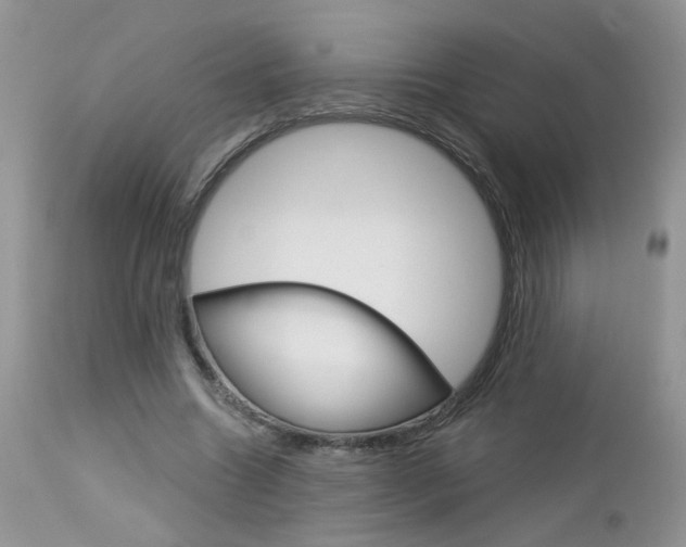 X0000113120538200908281044