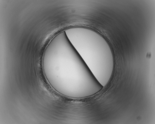 X0000113120539200908281044