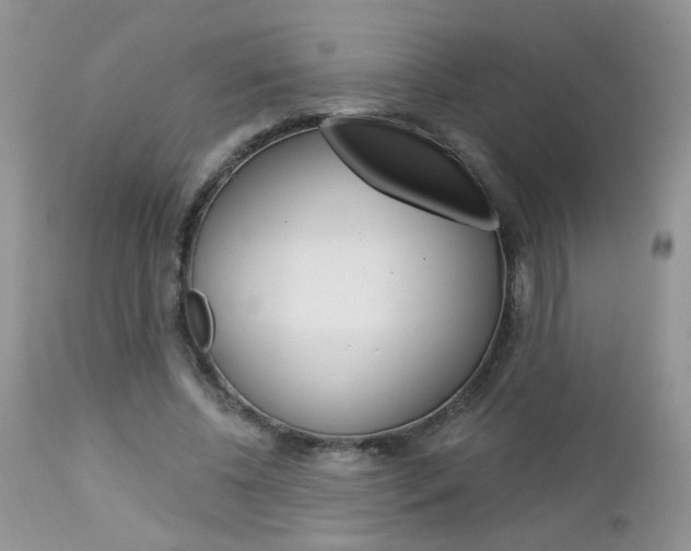 X0000113120540200908281044
