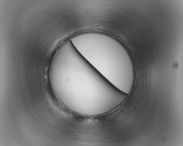 X0000113120543200908281044