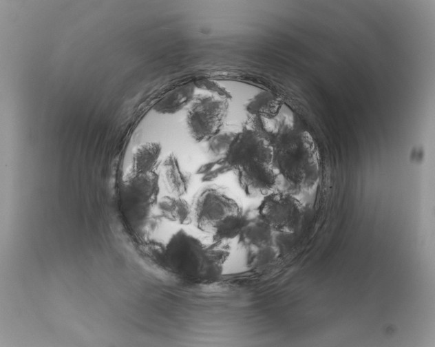 X0000113120545200908281044