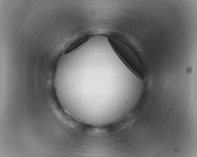 X0000113120546200908281044
