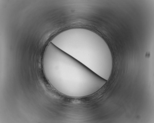 X0000113120547200908281044