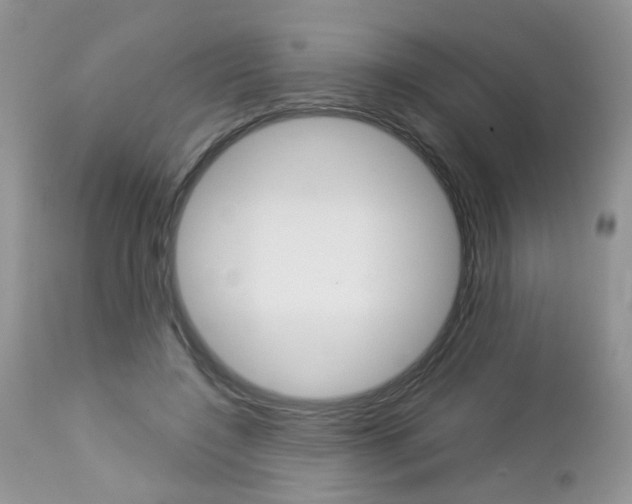 X0000113120548200908281044