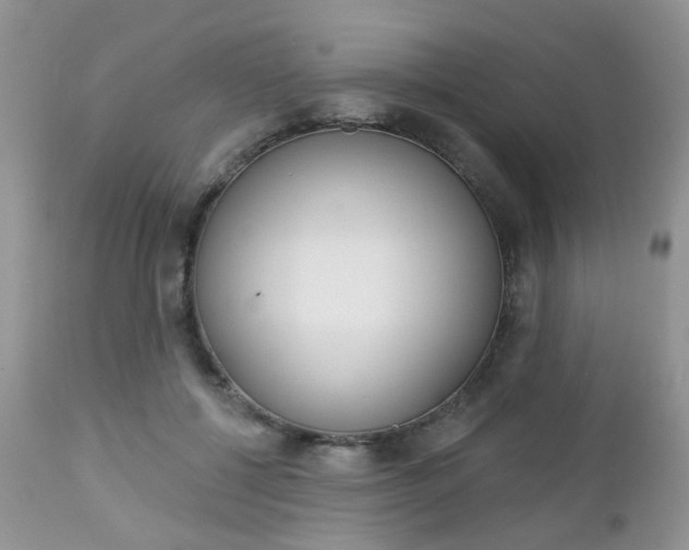 X0000113120552200908281045