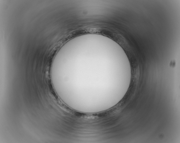 X0000113120553200908281045