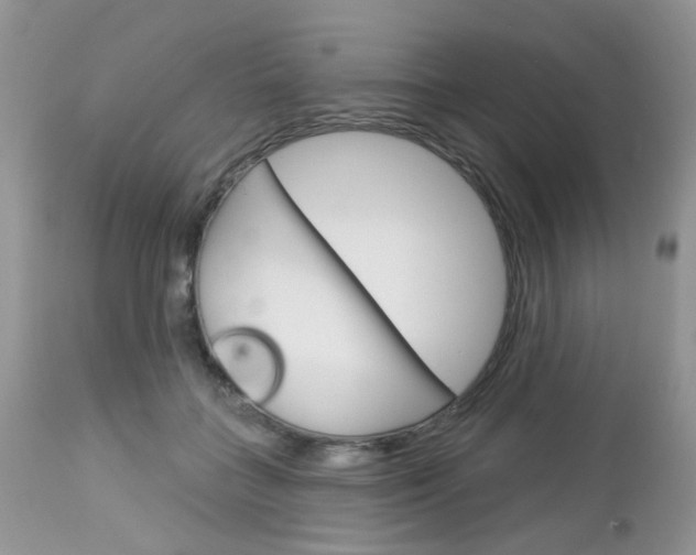 X0000113120555200908281045