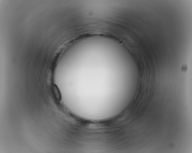 X0000113120556200908281045