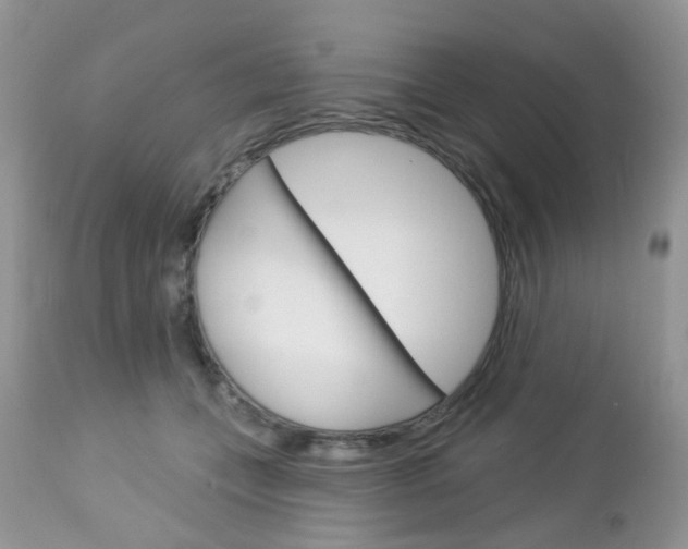X0000113120559200908281045