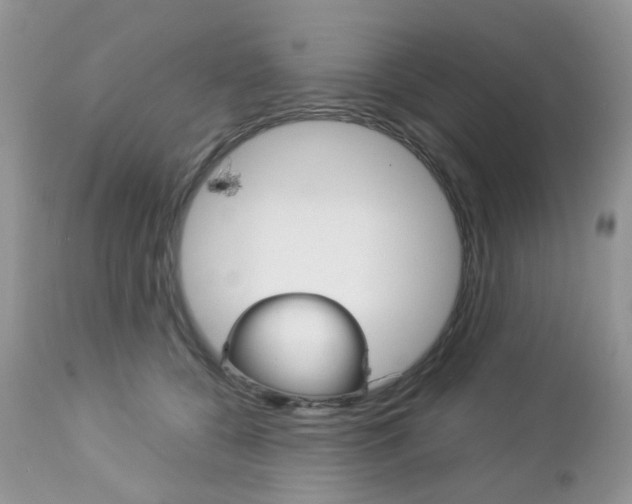X0000113120560200908281045