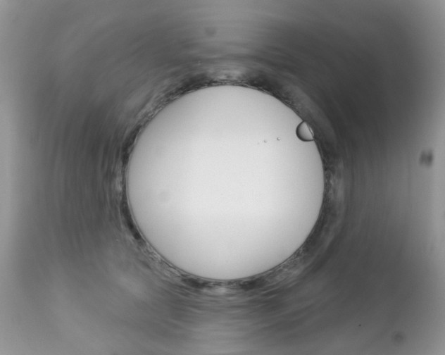 X0000113120561200908281045