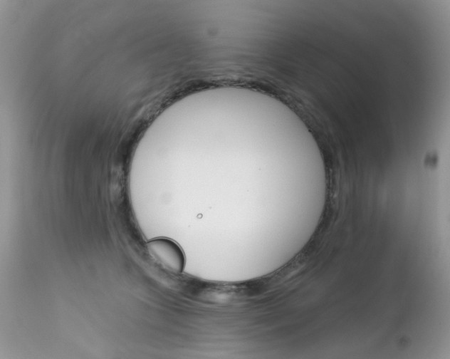 X0000113120563200908281045