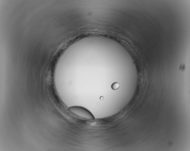 X0000113120564200908281045