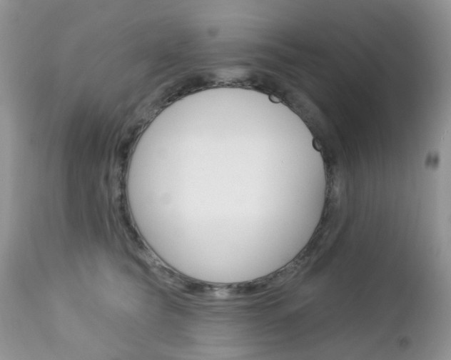 X0000113120565200908281045