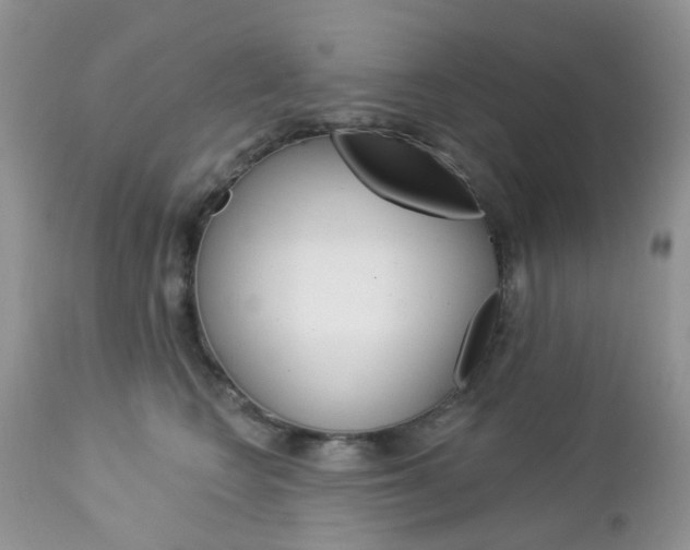 X0000113120566200908281045
