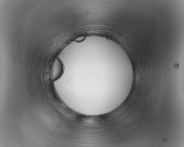 X0000113120567200908281045