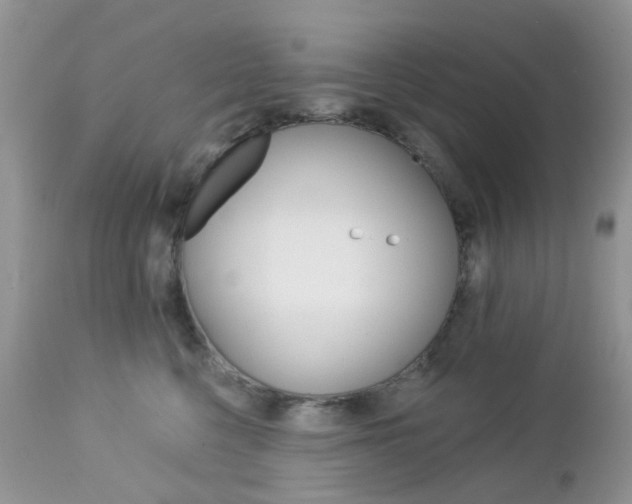 X0000113120568200908281045