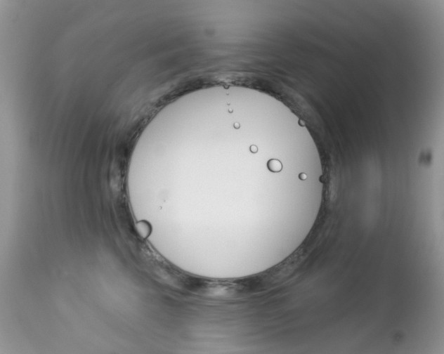 X0000113120569200908281045