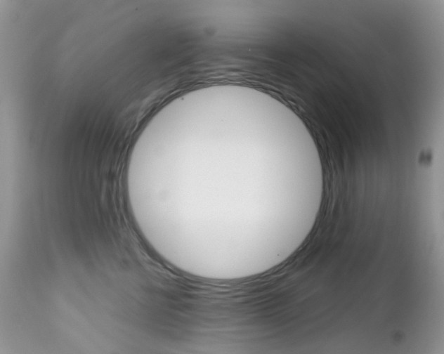 X0000113120570200908281045